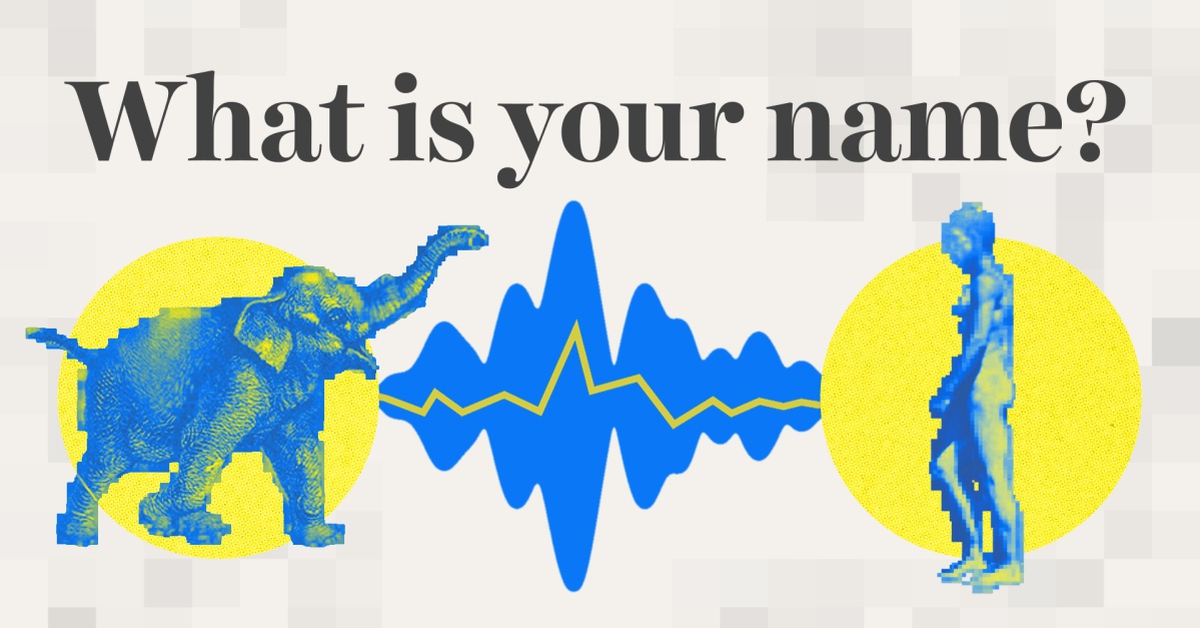 Trí tuệ nhân tạo có thể giúp chúng ta nói chuyện với động vật không?