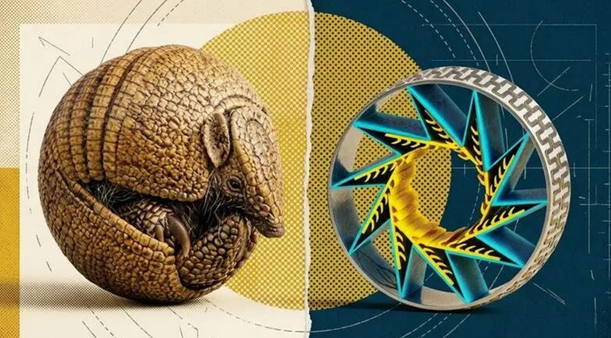 Các nhà khoa học lấy cảm hứng từ loài tatu, tạo ra công nghệ mới có thể tự “mặc giáp” khi gặp nguy hiểm