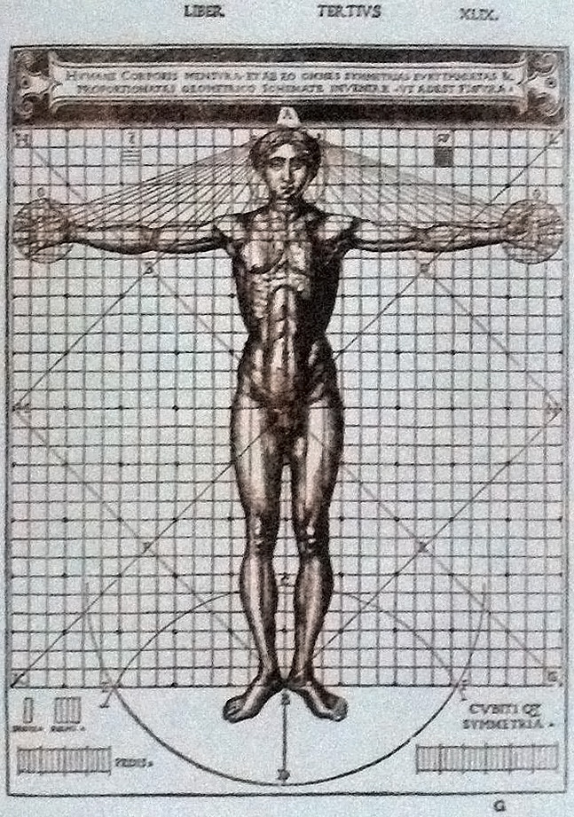 dearchitectura030-17814061287691318918395 Hơn 500 năm sau Leonardo da Vinci, tỷ lệ cơ thể của đàn ông Việt có còn khớp với "Người Vitruvius"? - Ảnh 2.