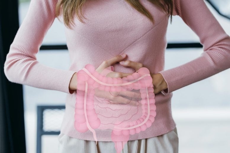 woman-holding-stomach-gut-digest Cắt bỏ hoàn toàn đường có thể phản tác dụng? Nghiên cứu mới phát hiện chuột kiêng đường xuất hiện gan nhiễm mỡ và rối loạn chuyển hóa - Ảnh 4.