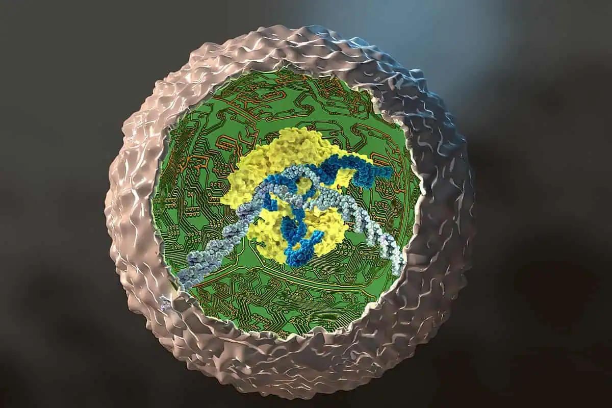 stemcellguilak-1783050913136-1783050913530244547403 Không còn là khoa học viễn tưởng: Các nhà khoa học đã chế tạo thành công mạch logic siêu nhỏ ngay trong tế bào người - Ảnh 1.