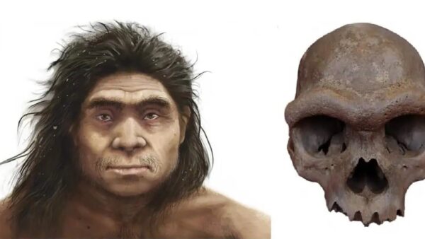 Giải mã bí mật chấn động về dung mạo người Denisovan: Nhánh nhân loại bí ẩn đã lộ diện